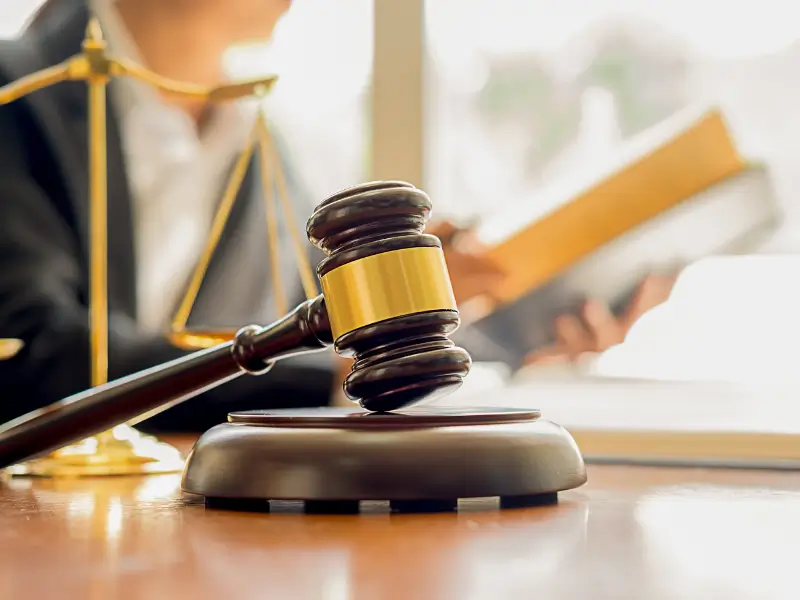The Goa Court Granted Suchana Seth's Request to be Referred to the Mental Health Board